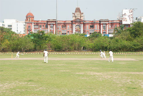 Kolkata Maidan Cricket